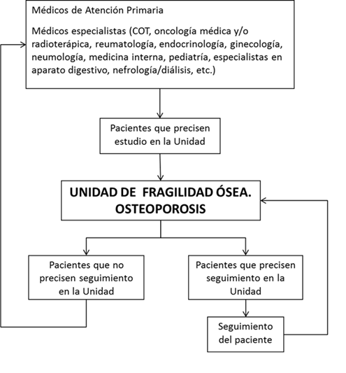 funcionamiento programa osteoporosis